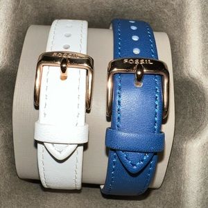 NWOT Fossil Watch Bands & Case